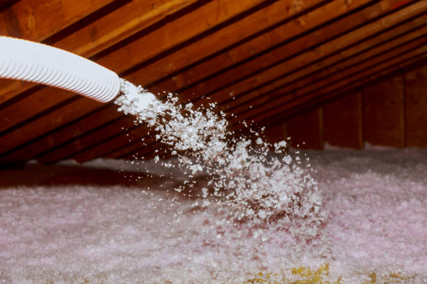 Best Eco-Friendly Insulation in Dixon, IL