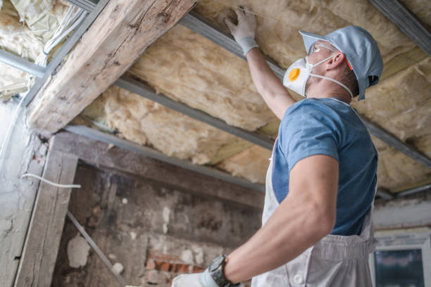 Types of Insulation We Offer in Dixon, IL