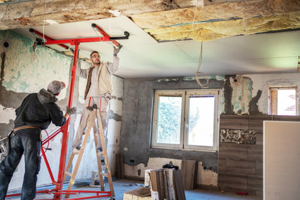 Best Cellulose Insulation in Dixon, IL