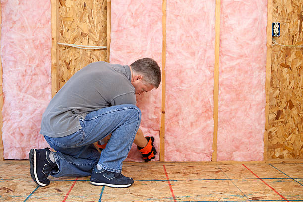 Best Residential Insulation in Dixon, IL